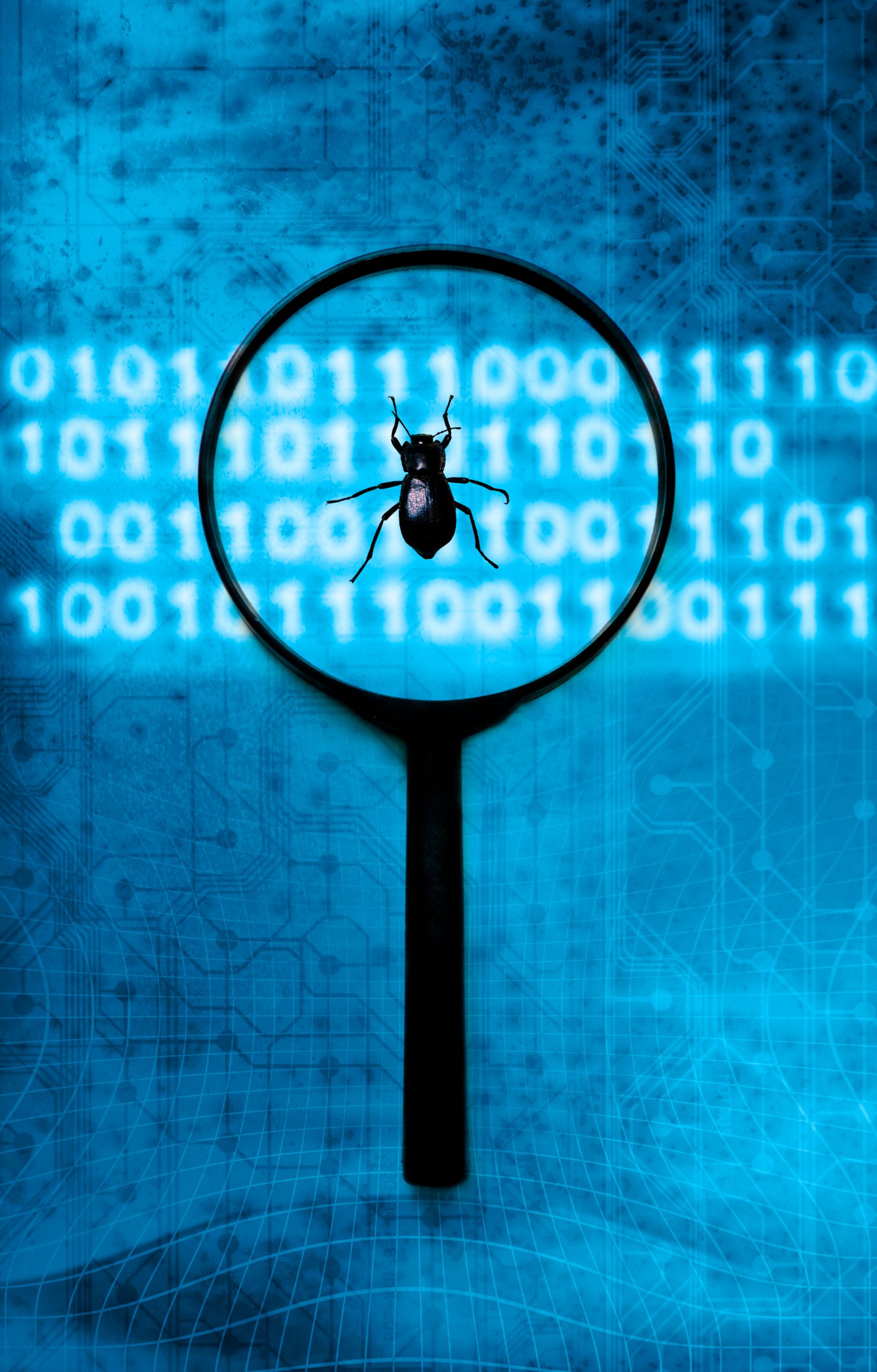 Schaden durch Softwarefehler